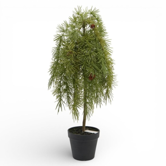 ALBERO PINO IN VASO 56CM